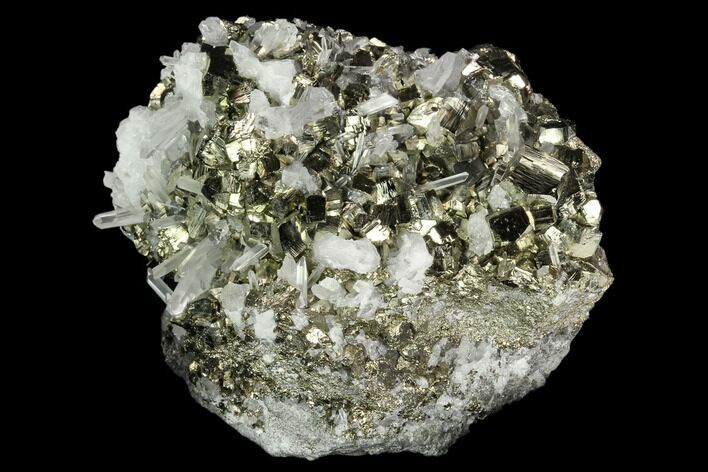 Gleaming Pyrite & Quartz Crystal Association - Peru #124442